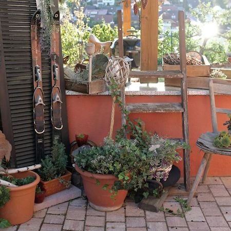 Ferienwohnung Im Paradies Momlingen Ngoại thất bức ảnh